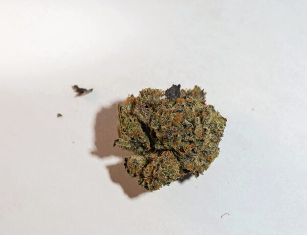 Strawberry Cough (Sativa)